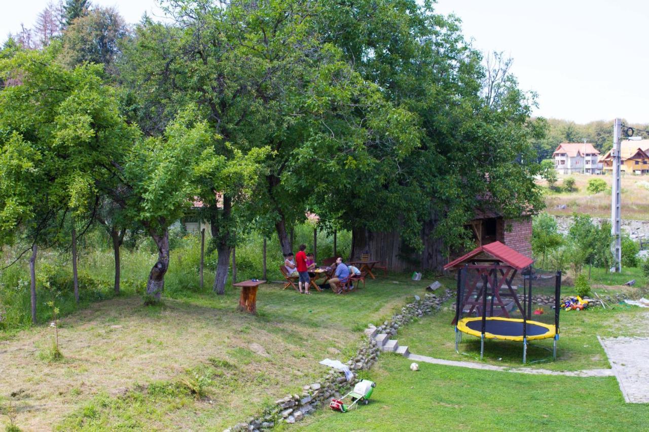 Pension Belmonte Simbata de Sus Exterior photo